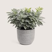 shop53-cat-6 Category Image